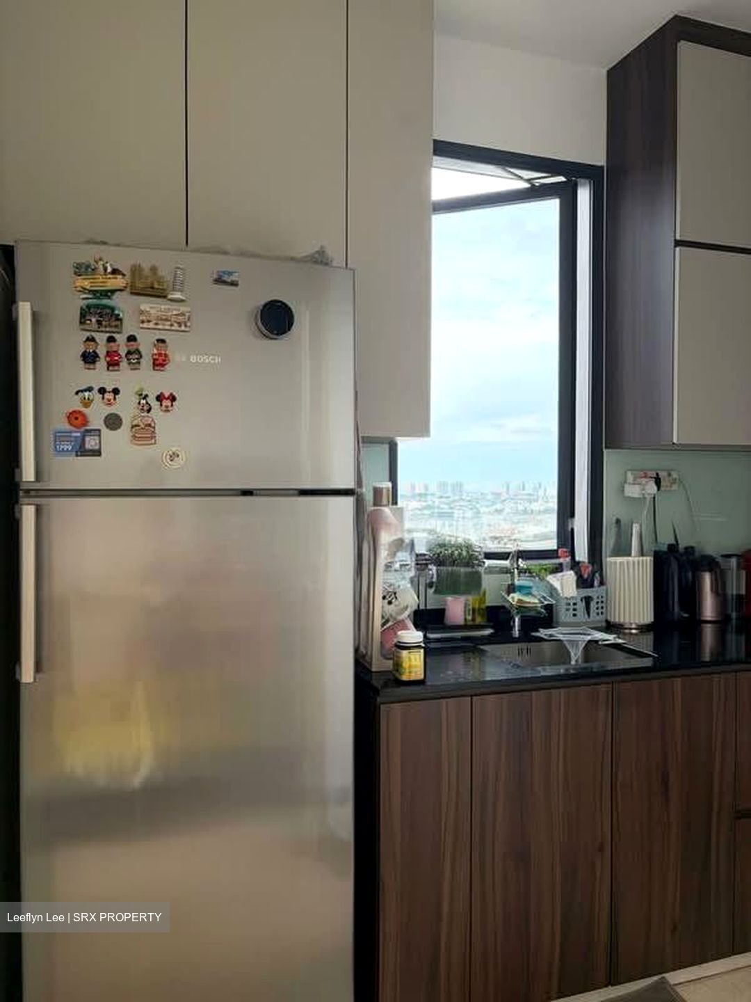 Urban Treasures (D14), Condominium #562073521